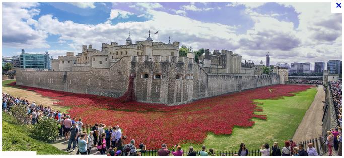 poppies tower london coquelicots tour londres